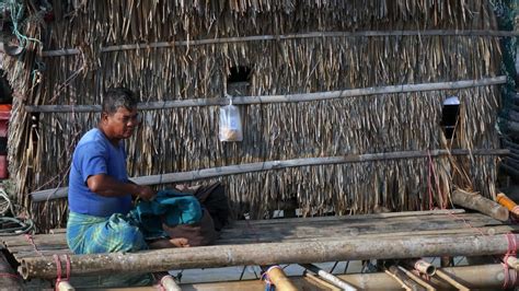 မြစ်ဝကျွန်းပေါ်က ပျောက်ကွယ်လုနီး ရိုးရာစန္ဒား ငါးဖမ်းလုပ်ငန်း.